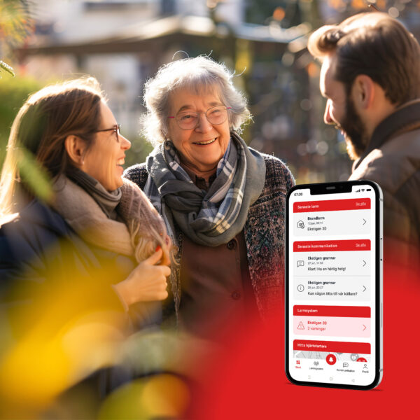 Safeland Connect 12 månader